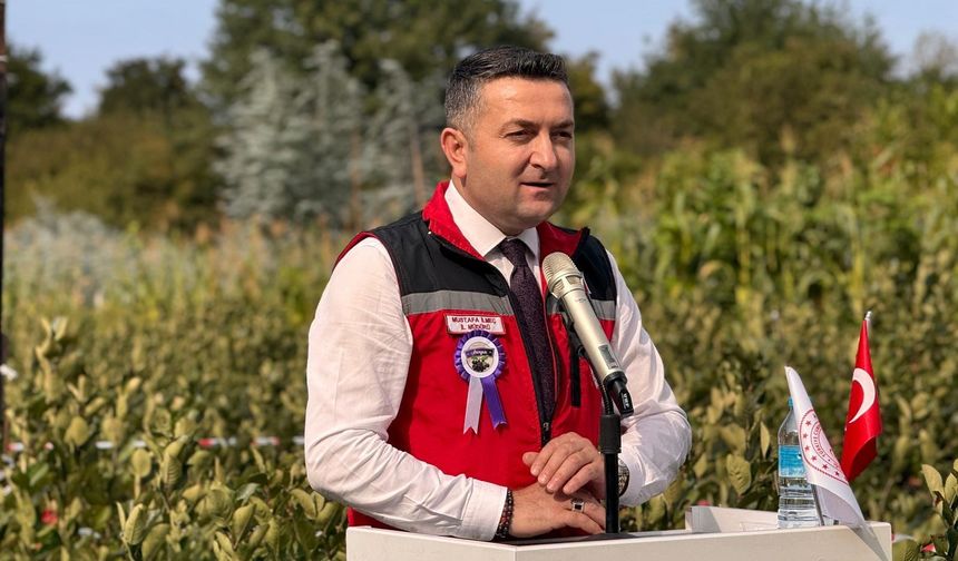 Yalova’nın coğrafi işaretli meyvesi aronyada hasat sevinci