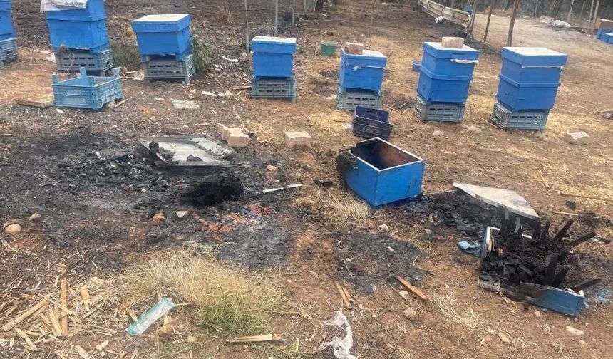 Bursa Büyükşehirden Yangın Mağduru Arıcılara Kovan Desteği