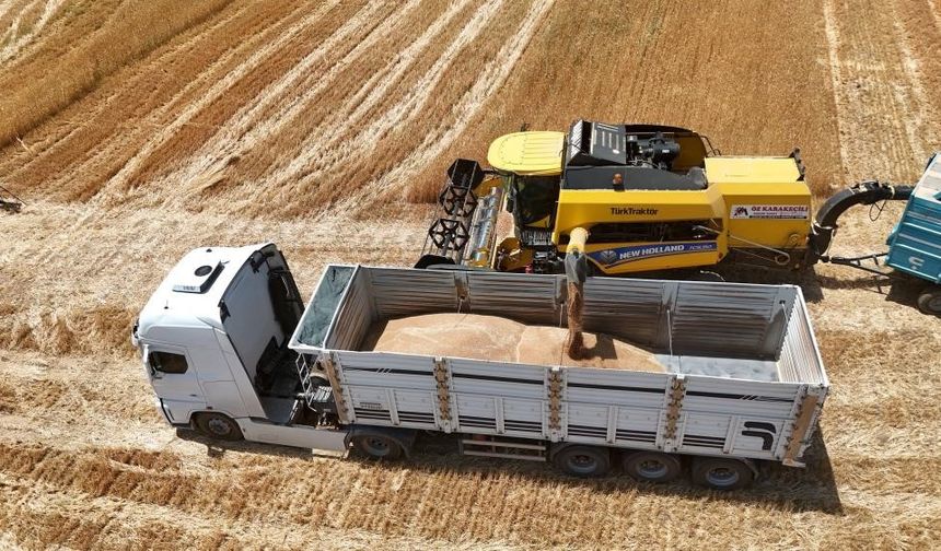 TMO'nun ithalat açıklaması bile arpanın ateşini düşürmedi