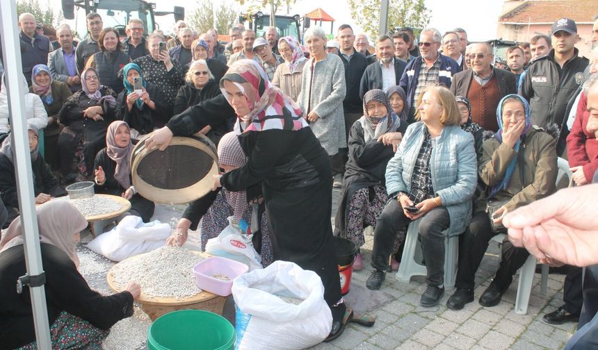 COĞRAFİ İŞARETLİ MANYAS FASULYESİNDE HASAT FESTİVALİ YAPILDI