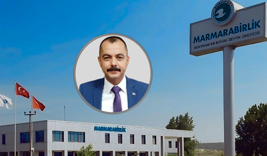 ZEYTİN ÜRETİCİSİ TEPKİLİ, MARMARABİRLİK FİYATLARI ACİLEN GÜNCELLEMELİ