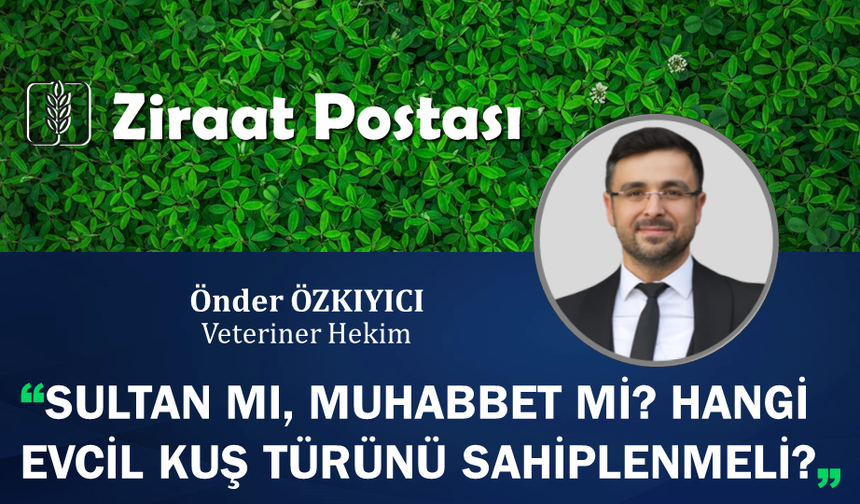 BİR ÖMÜRLÜK DOSTLUK: EVDE KUŞ BAKIMININ PÜF NOKTALARI