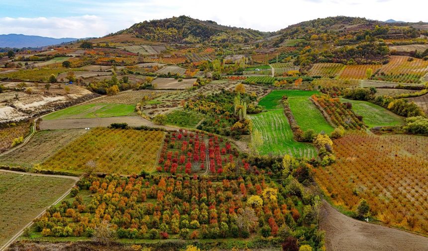 ULUDAĞ'IN ETEKLERİNDE SONBAHAR RENKLERİNİN GÖRSEL ŞÖLENİ