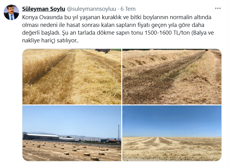 Konyada Saman