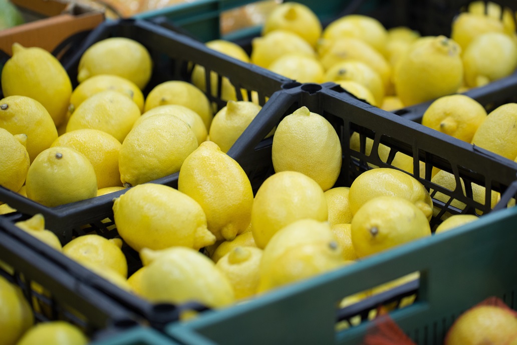 1754683292 1716534920 1662451529 Adobe Stock 144710587