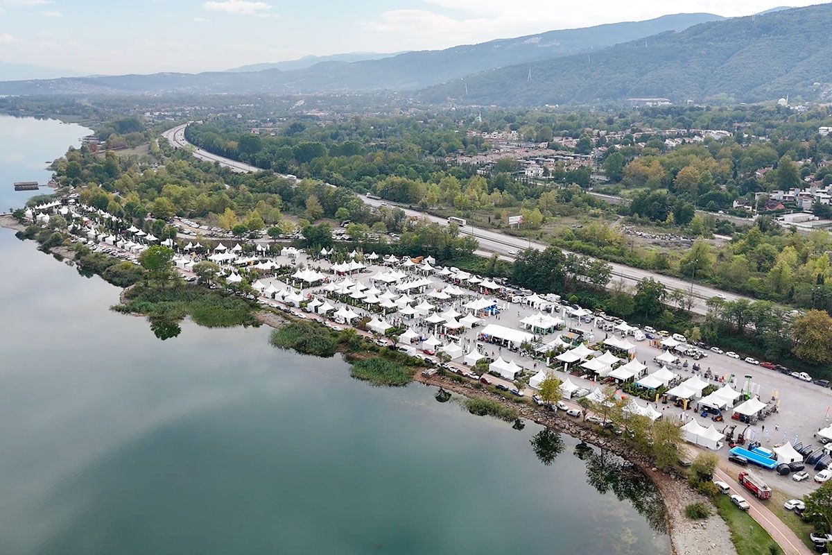 Sakarya Süs Bitkileri