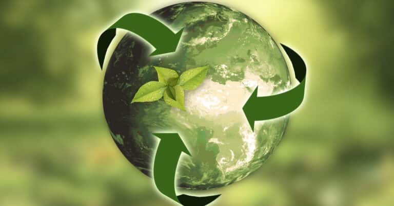 Sustainable Development 768X403