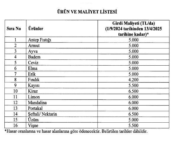 Girdi Maliyetleri