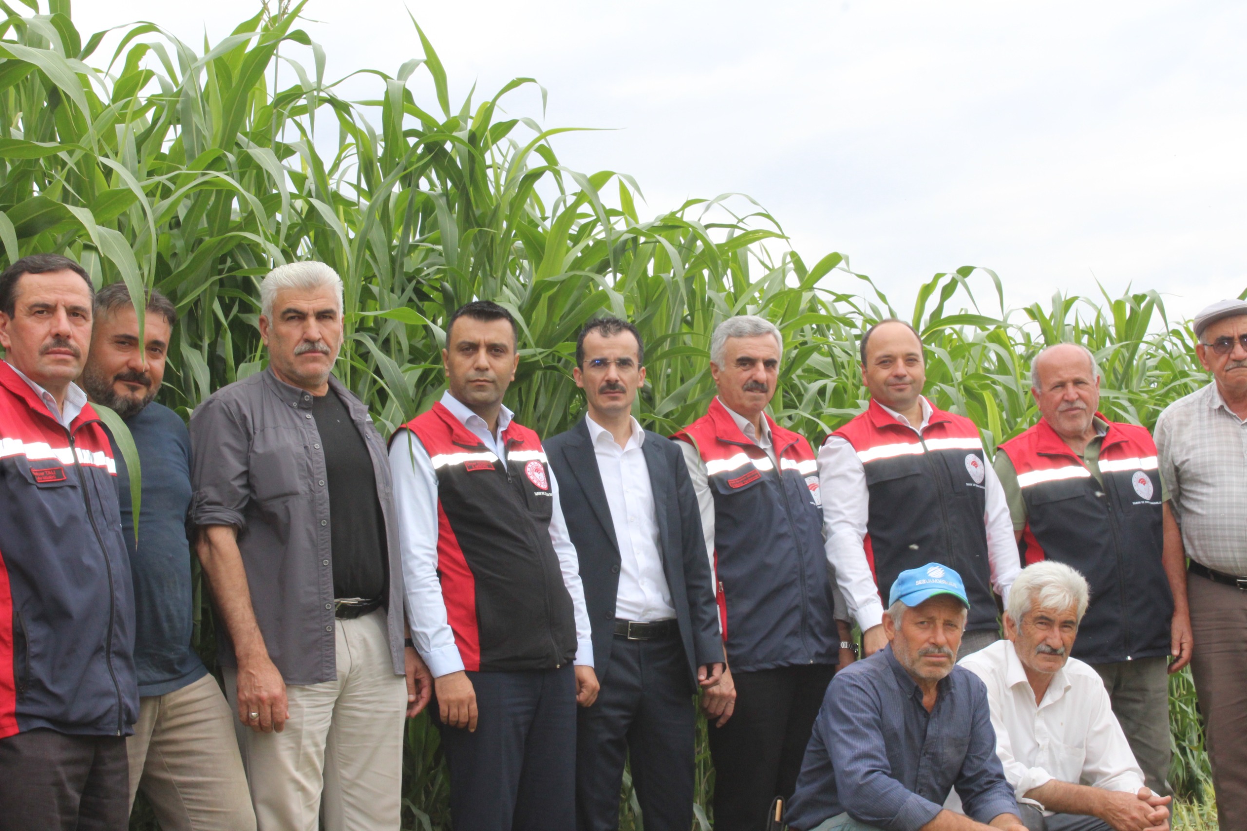 Tokat Pazar Sorgum Hasadı (3)