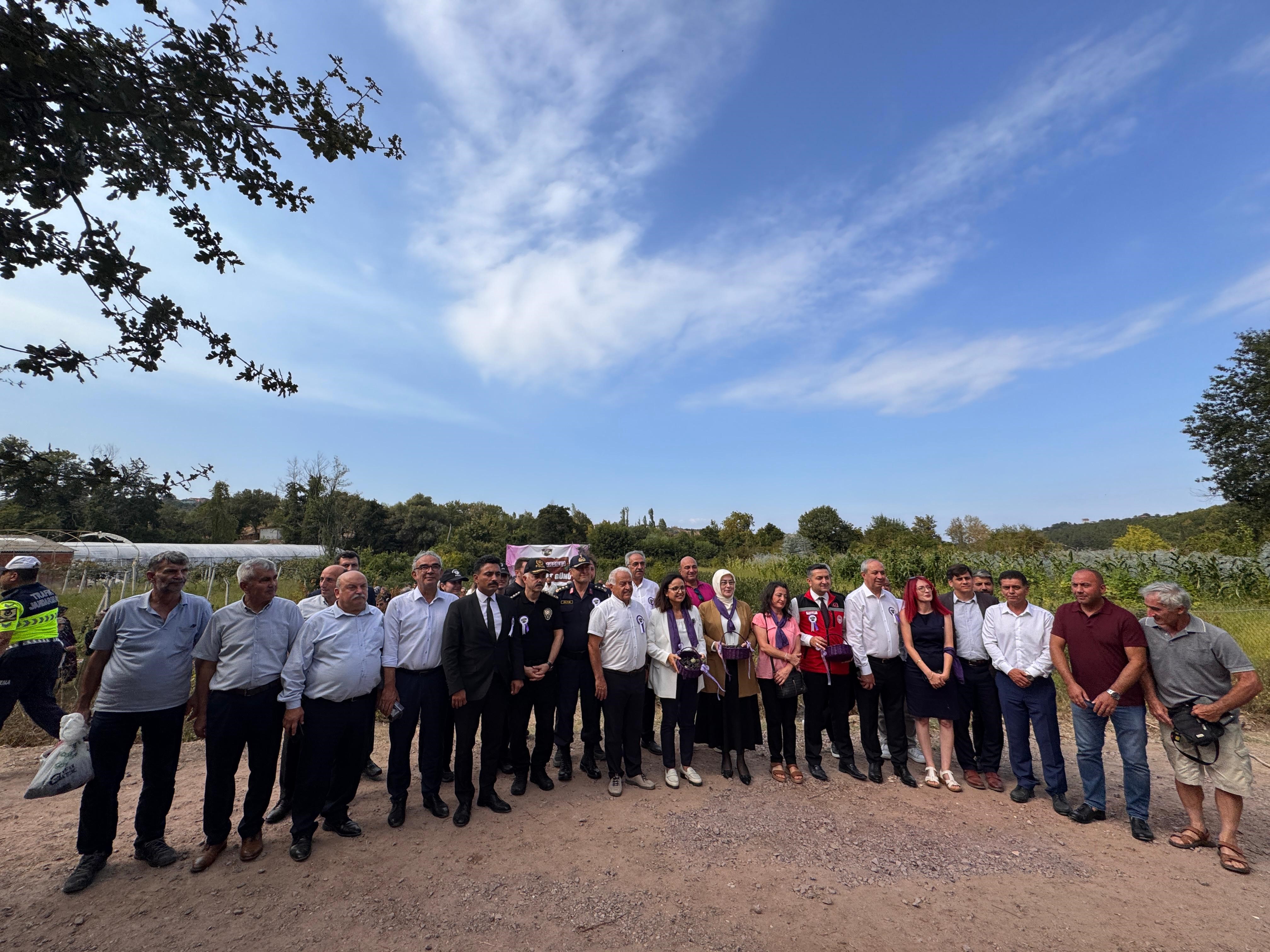 Yalova Organik Aronya Hasadı (5)