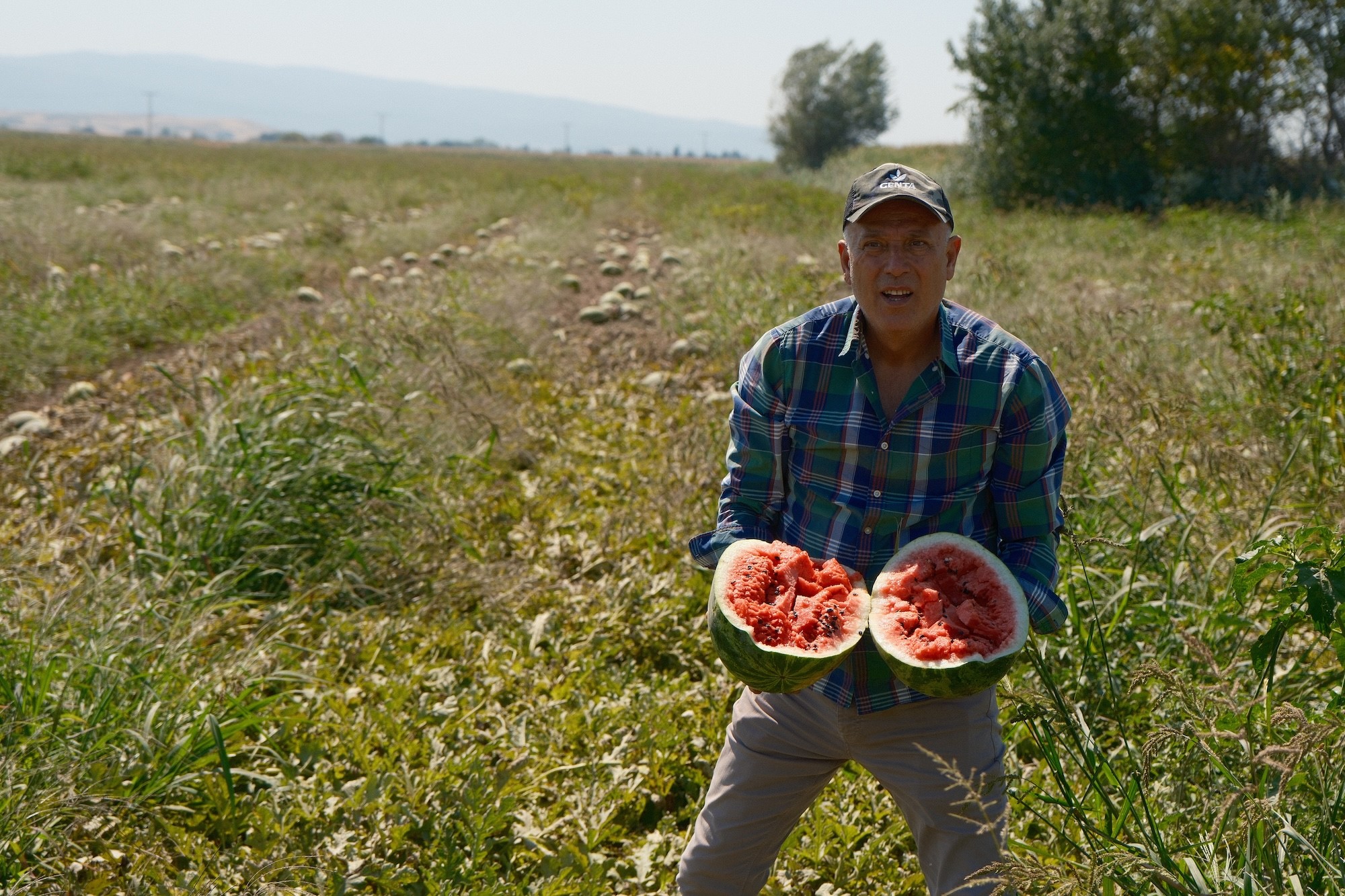 Ziraat Postası Karpuz Haberi (5)