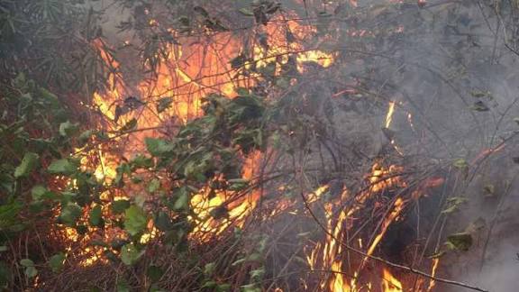 54A6D684 9D6E 4A71 9467 Ef0394C222Be