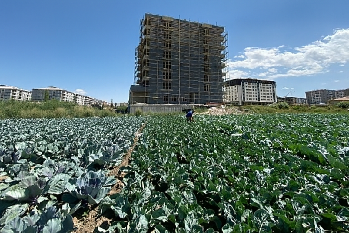Betonlaşma Ve Erzurum Tarımı