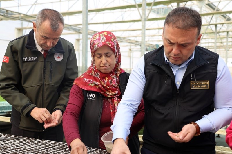 Bilecik Marul Fidesi Dağıtımı (2)