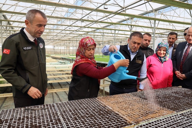 Bilecik Marul Fidesi Dağıtımı (3)