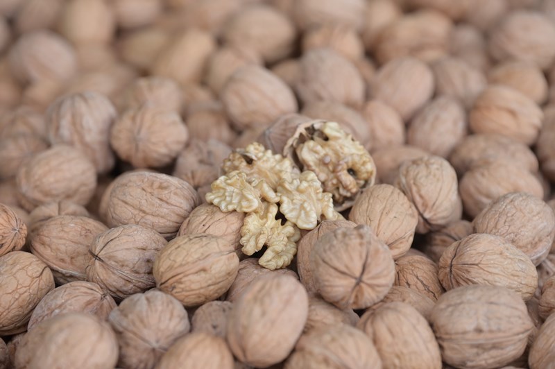 Denizli Ceviz Hasadı (2)