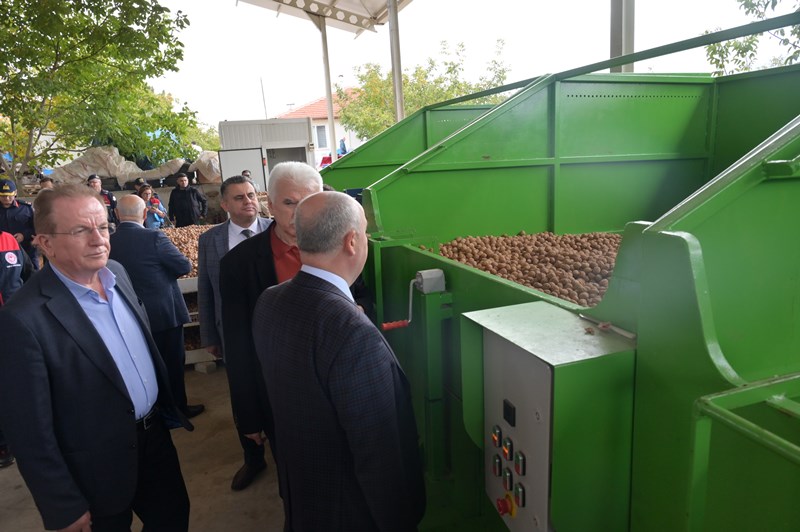 Denizli Ceviz Hasadı (4)