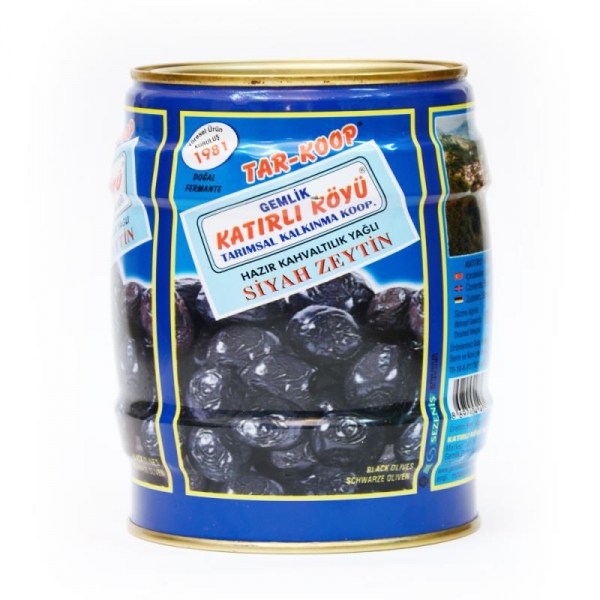 Katırlı Gemlik Zeytin