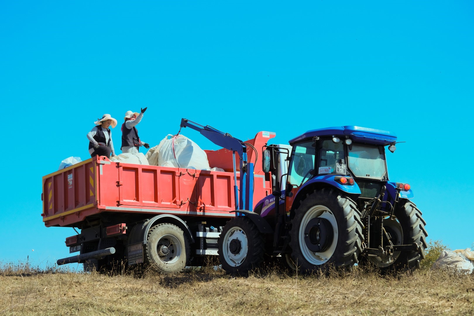 Kocaeli Tıbbi Aromatik Bitkiler (4)