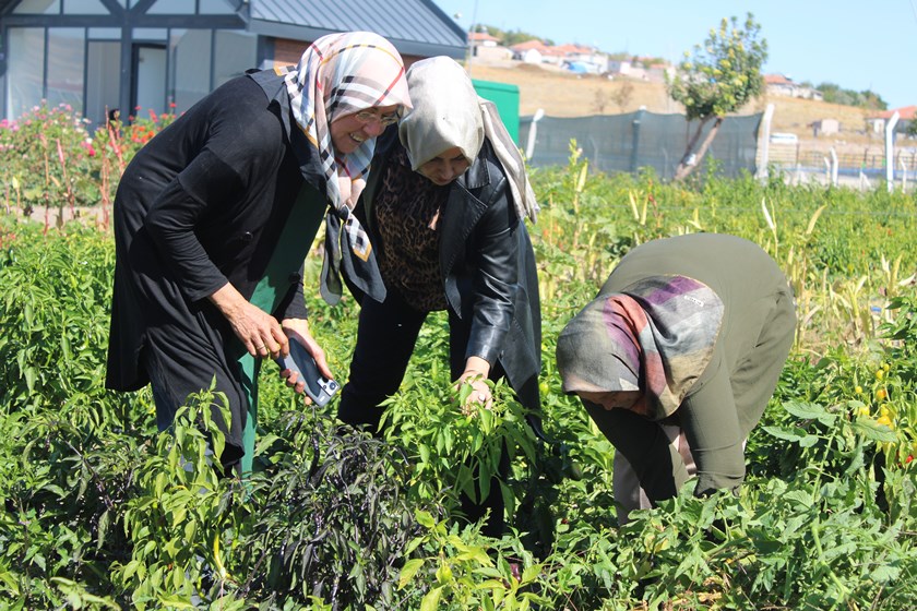 Kocasinan Kadın Kooperatifi (2)