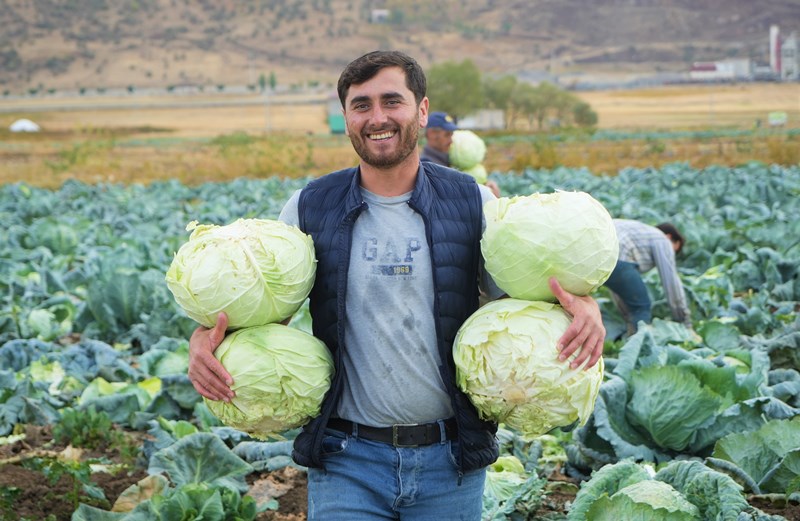 Lahana Muş Ovası (4)