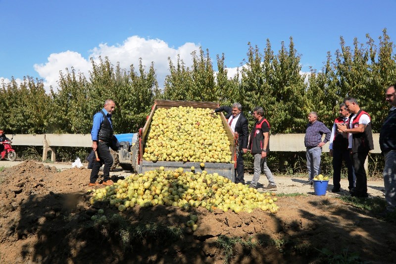 Pestisit Denetim (2)