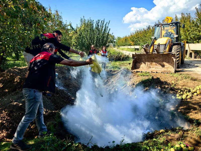 Pestisit Denetim (3)