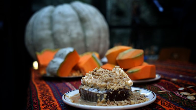 Sakarya Bal Kabağı Hasadı (2)