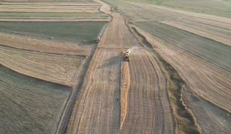 Yemlik Arpa Fiyatları (2)