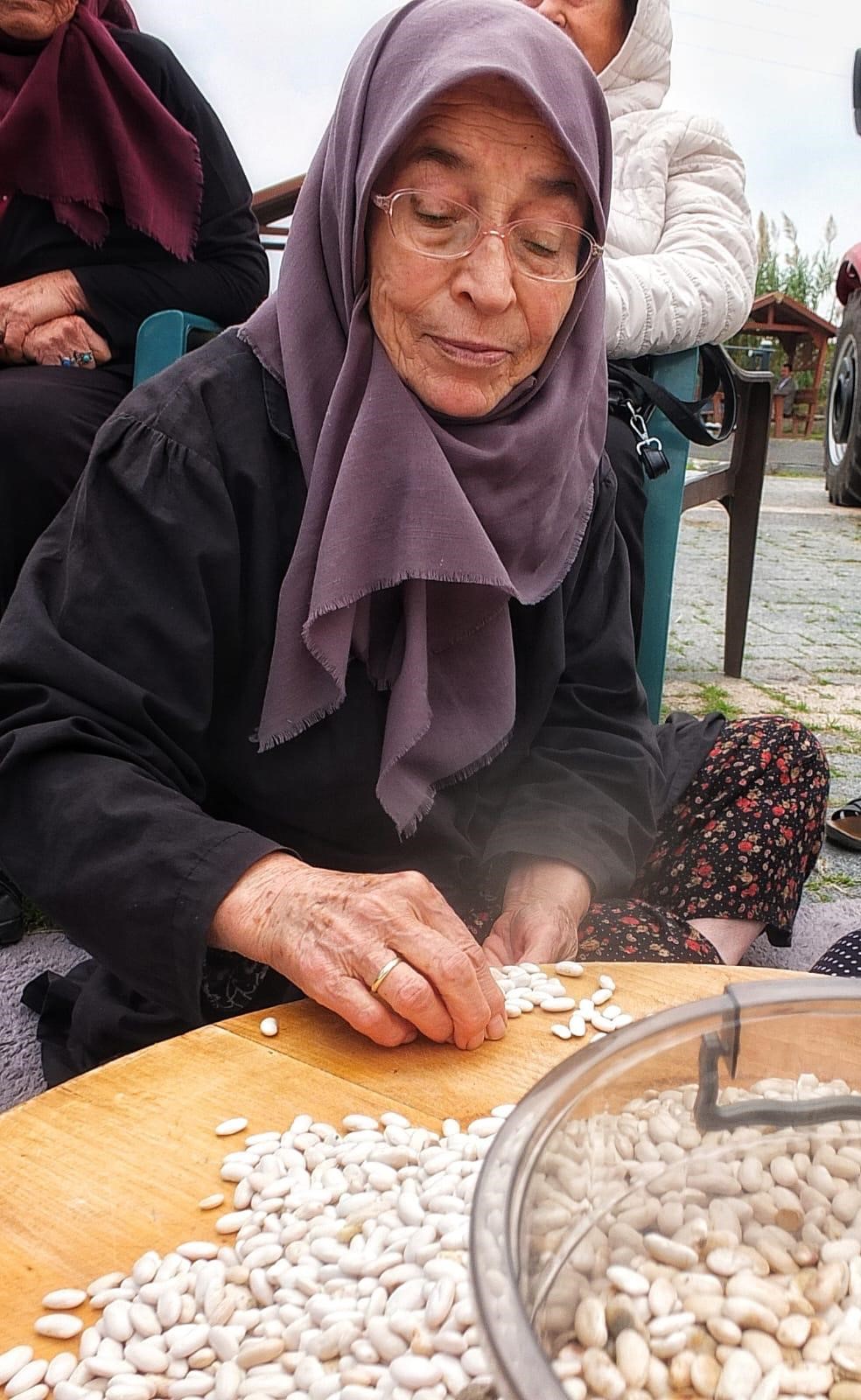 Manyas Fasulyesi (1)