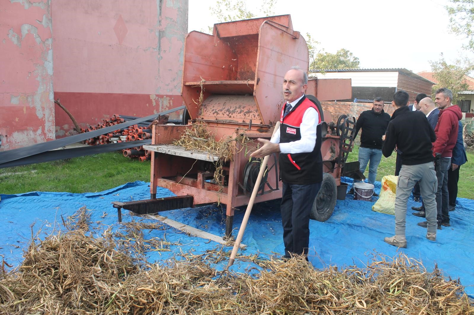 Manyas Fasulyesi (3)