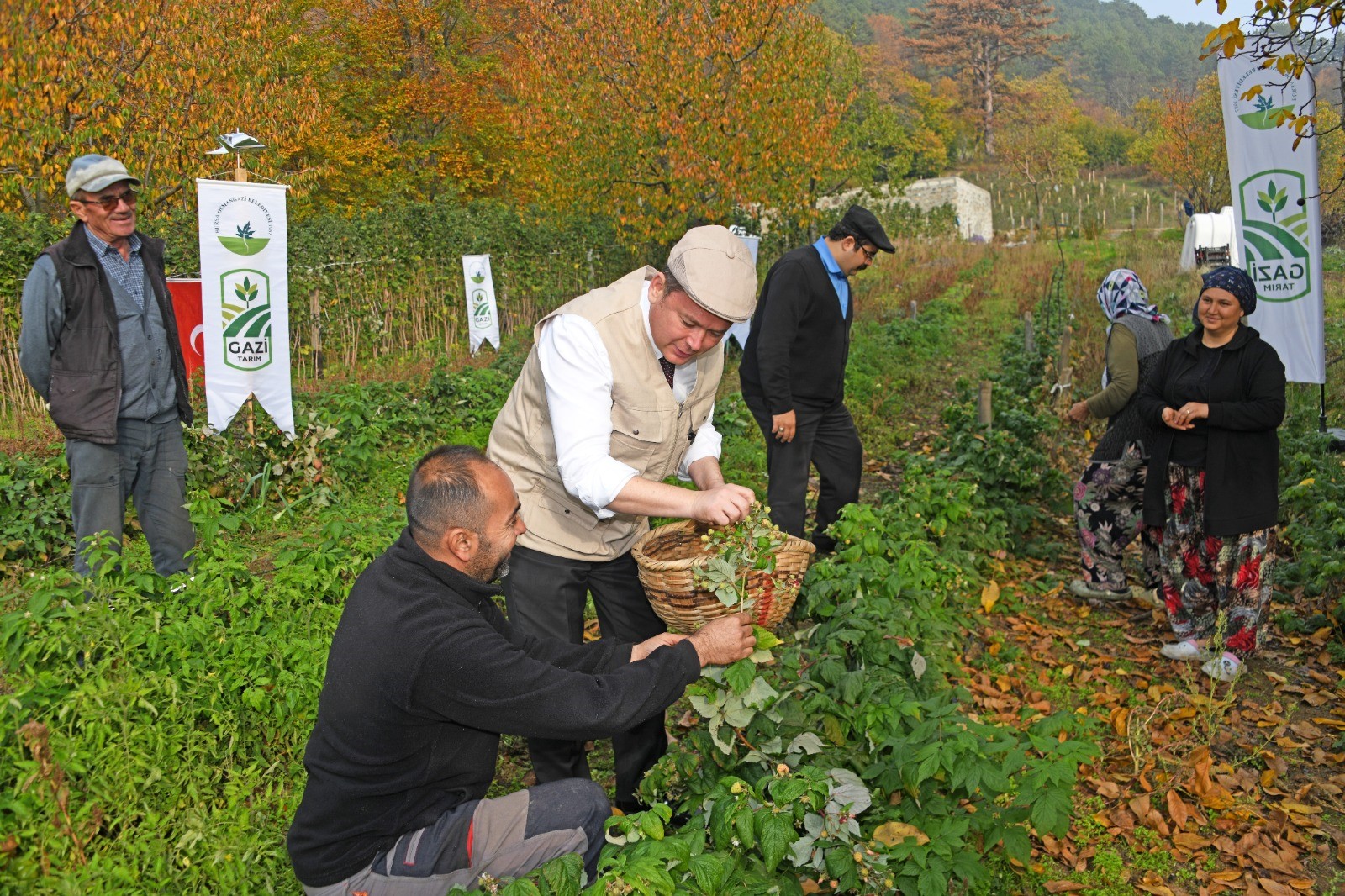 Osmangazi Ahududu (1)