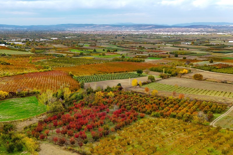 Uludağ Ve Sonbahar (2)