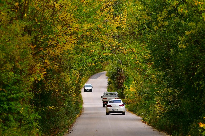 Uludağ Ve Sonbahar (4)