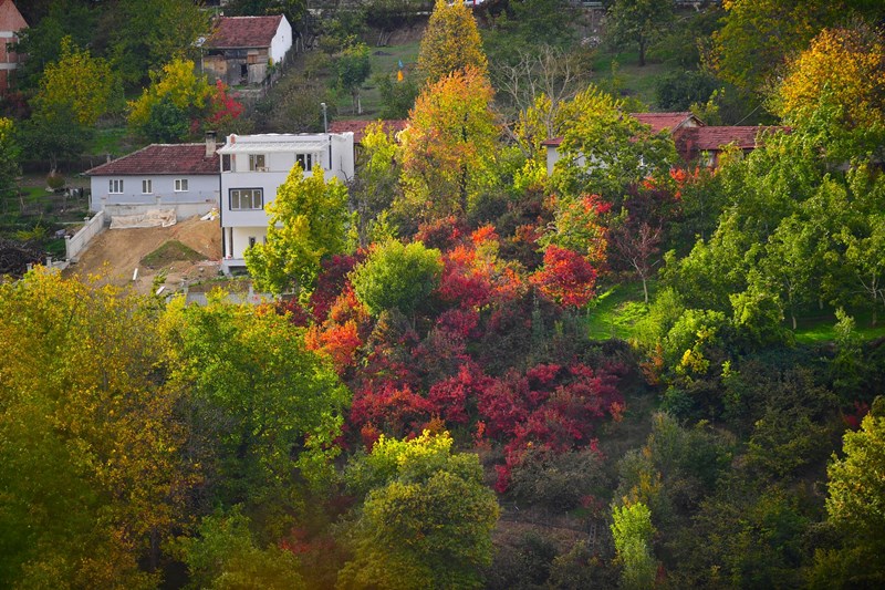 Uludağ Ve Sonbahar Face
